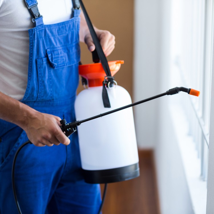 Pest Control Services in Yantis, TX Pest Control Services in Yantis, TX