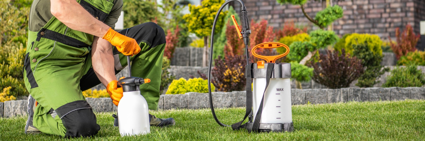Pest Control Services in Yantis, TX